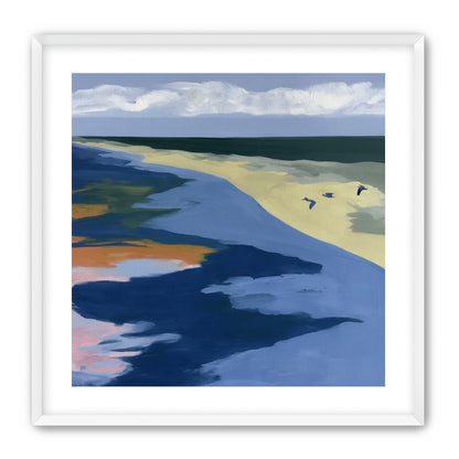 Birds over the pale shore