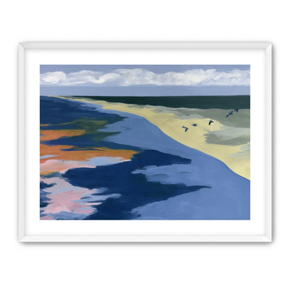 Birds over the pale shore