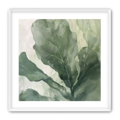 Sage leaves in pale light