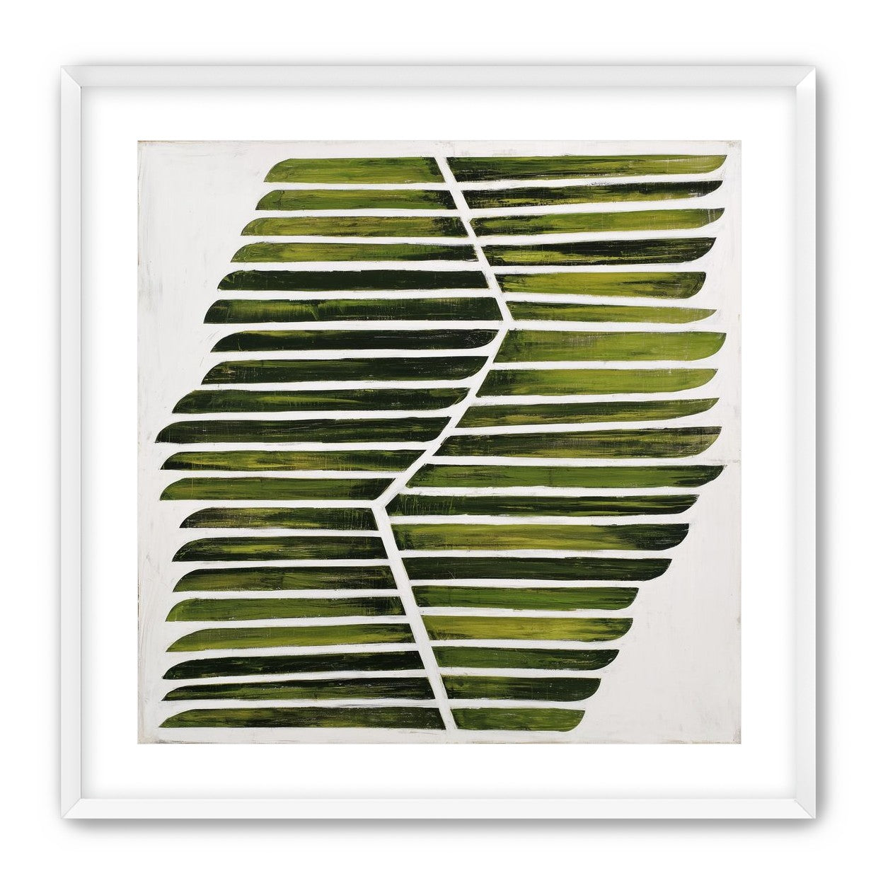 Leaf ribs around a white vein