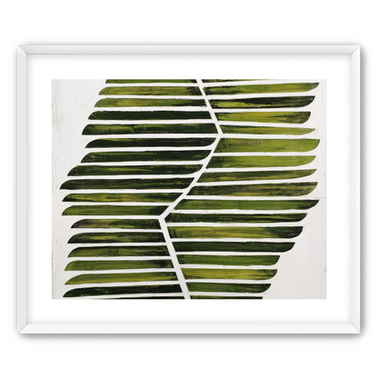 Leaf ribs around a white vein