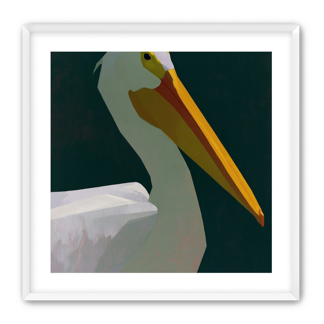 White pelican in deep green