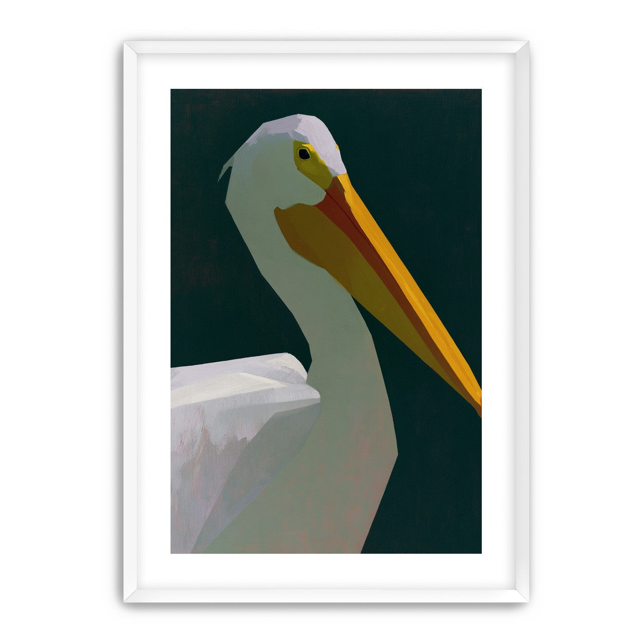 White pelican in deep green