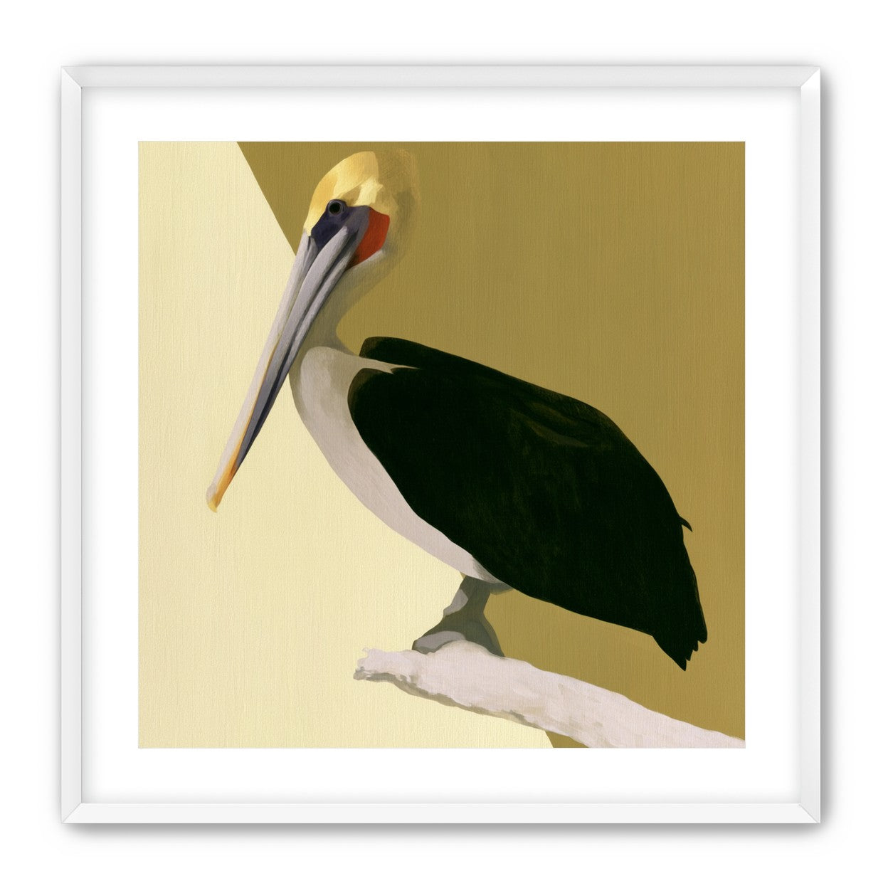 Pelican in quiet balance