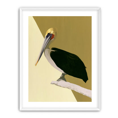 Pelican in quiet balance