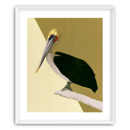 Pelican in quiet balance