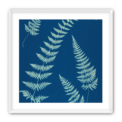 Fern shadows in blue