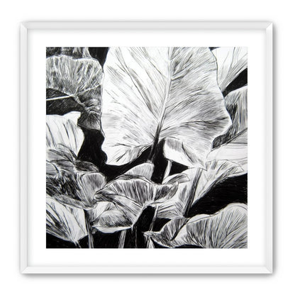 A Cluster of Leaves