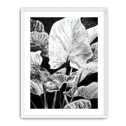 A Cluster of Leaves