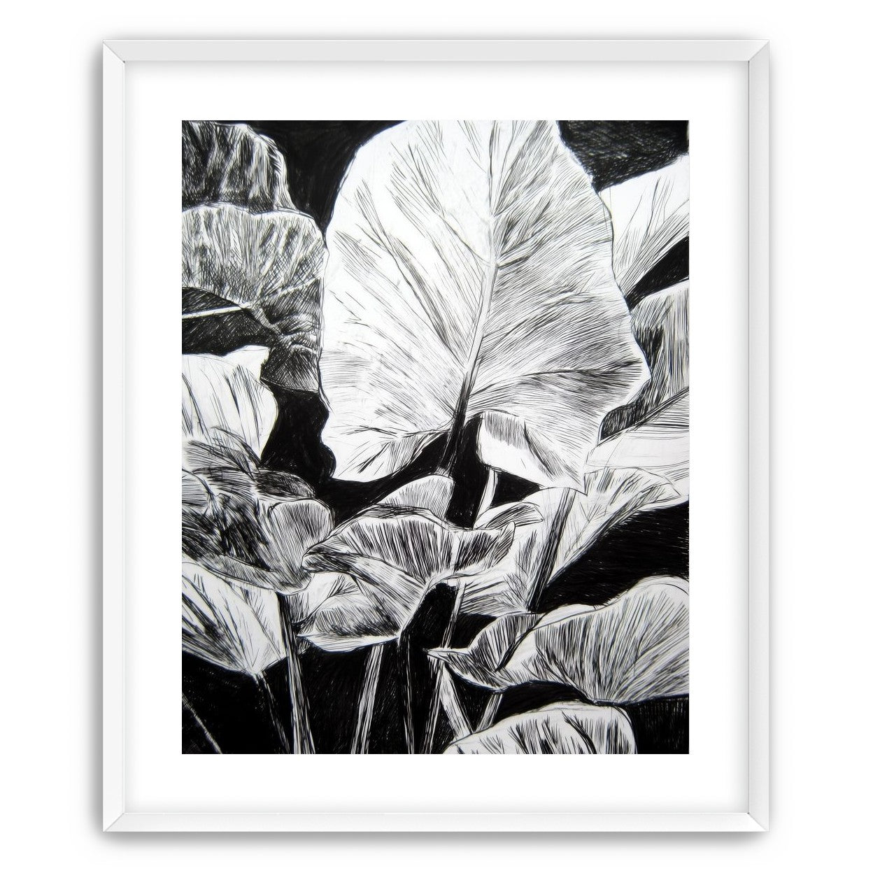 A Cluster of Leaves