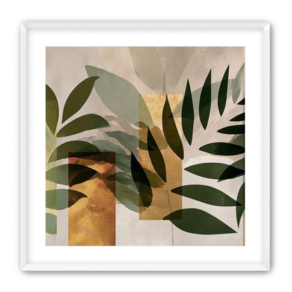 Row of Ferns