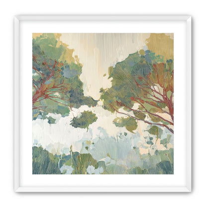 Canopy Forms Across the Field