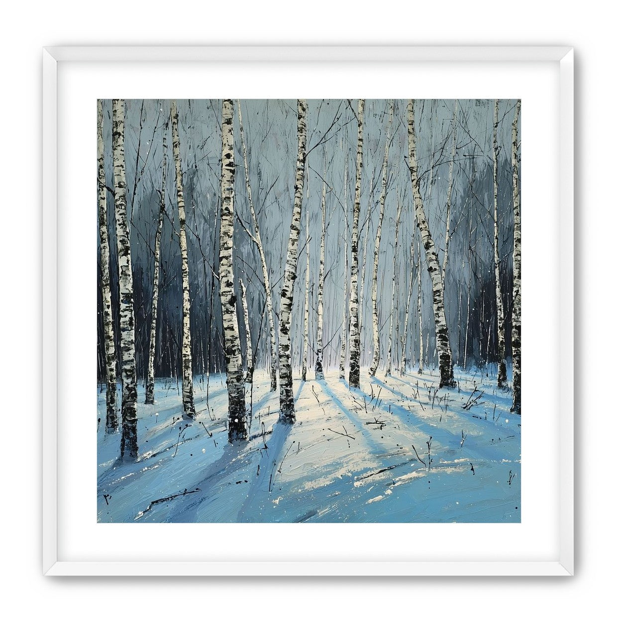 Birch Trees in Winter Light