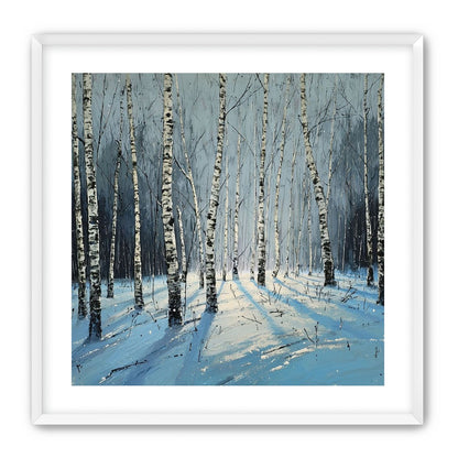 Birch Trees in Winter Light