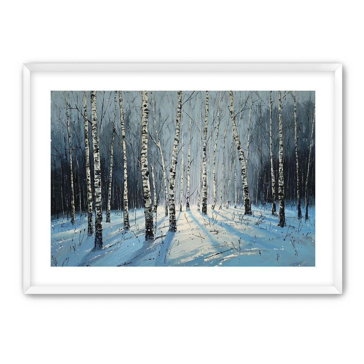 Birch Trees in Winter Light