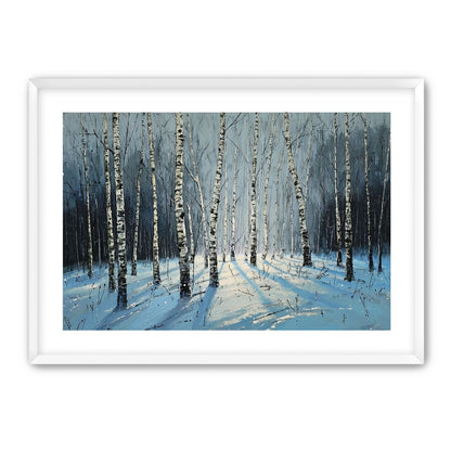 Birch Trees in Winter Light