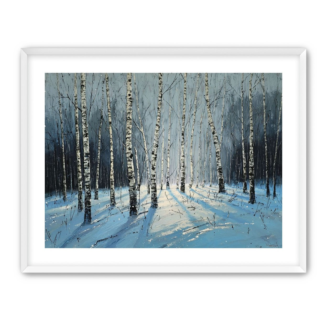 Birch Trees in Winter Light