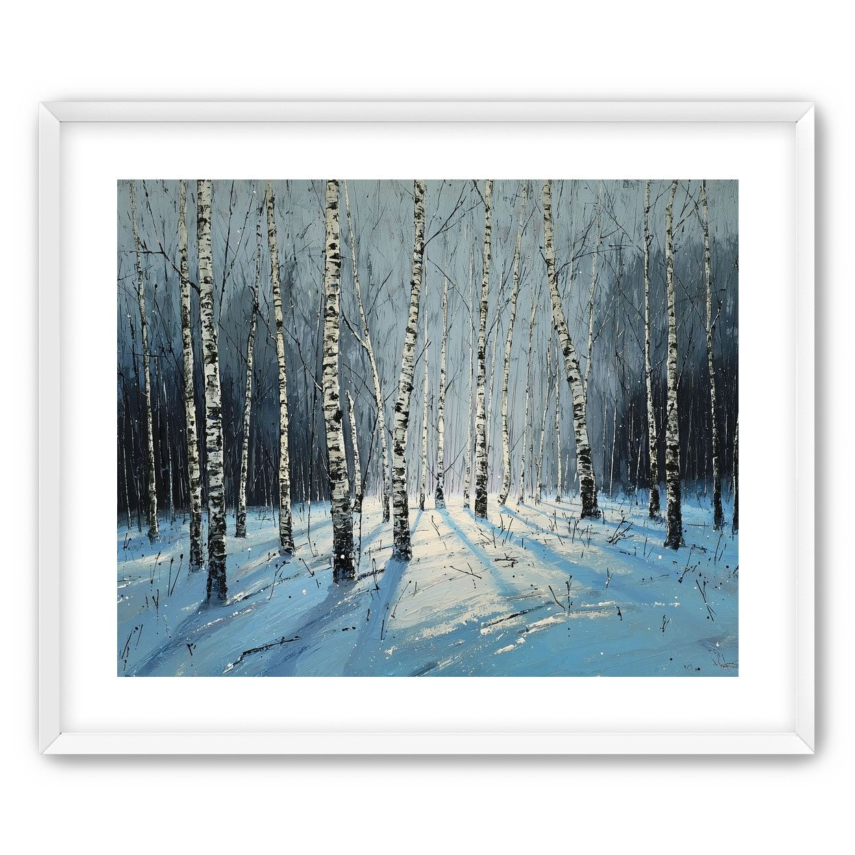 Birch Trees in Winter Light
