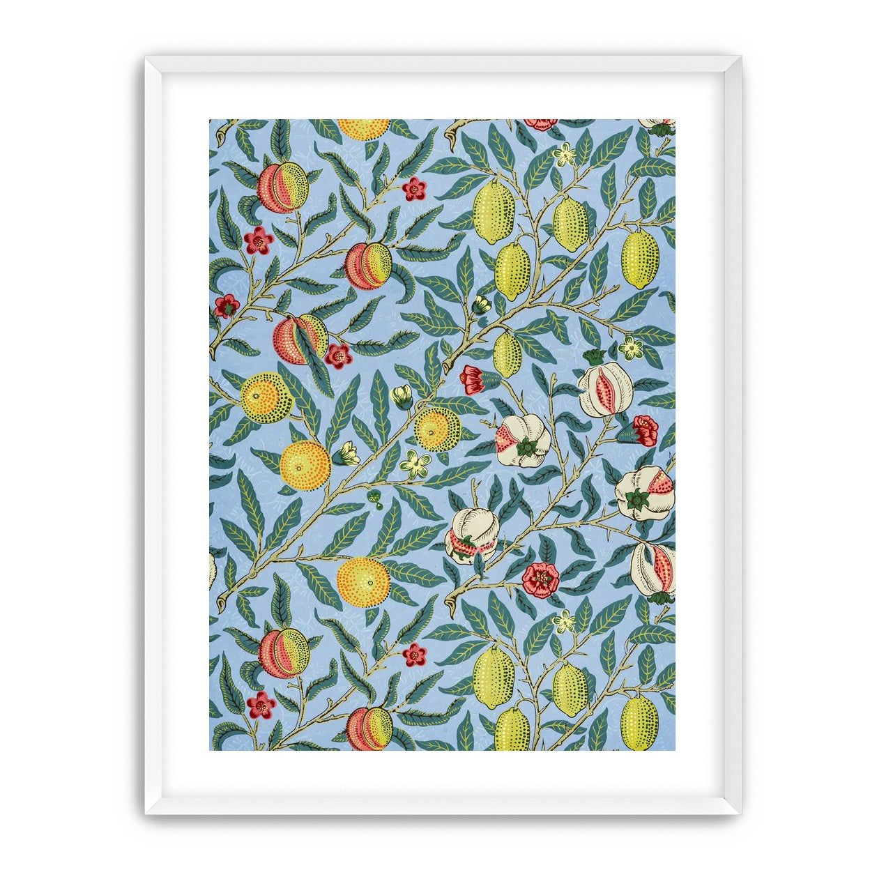 Fruits on the Vine