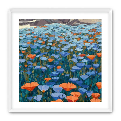California Poppies