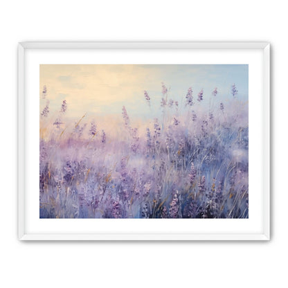 Lavender Fields