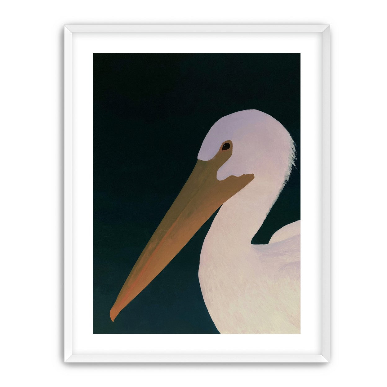 White pelican in stillness