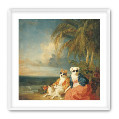 Sunglasses dogs under palms