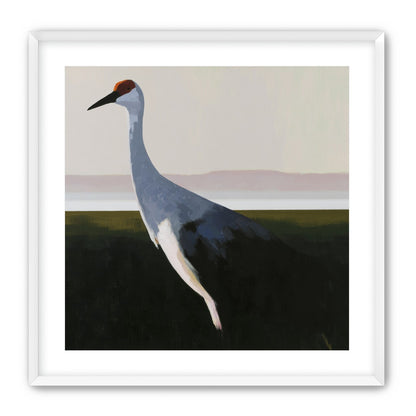 Crane with a red crown
