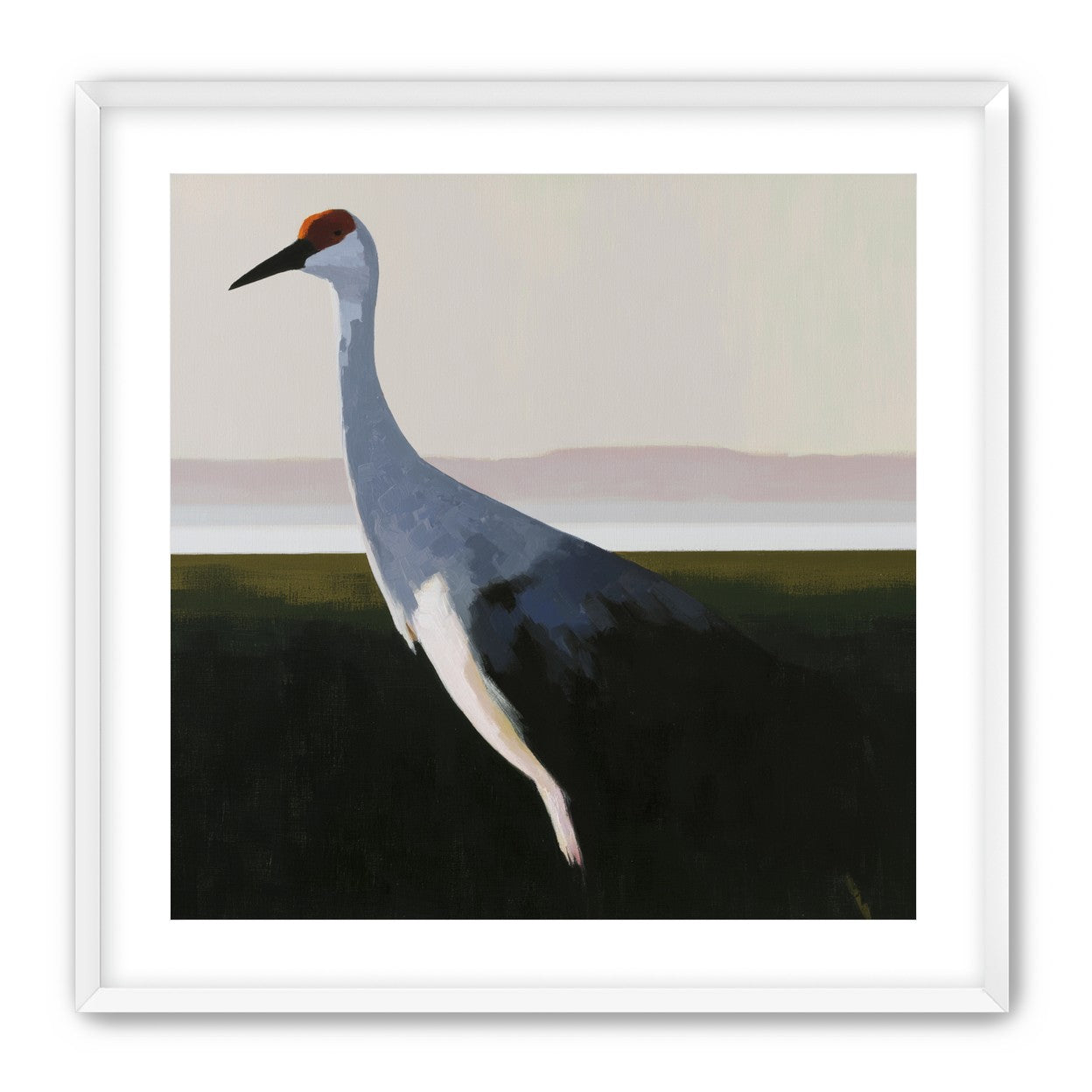 Crane with a red crown