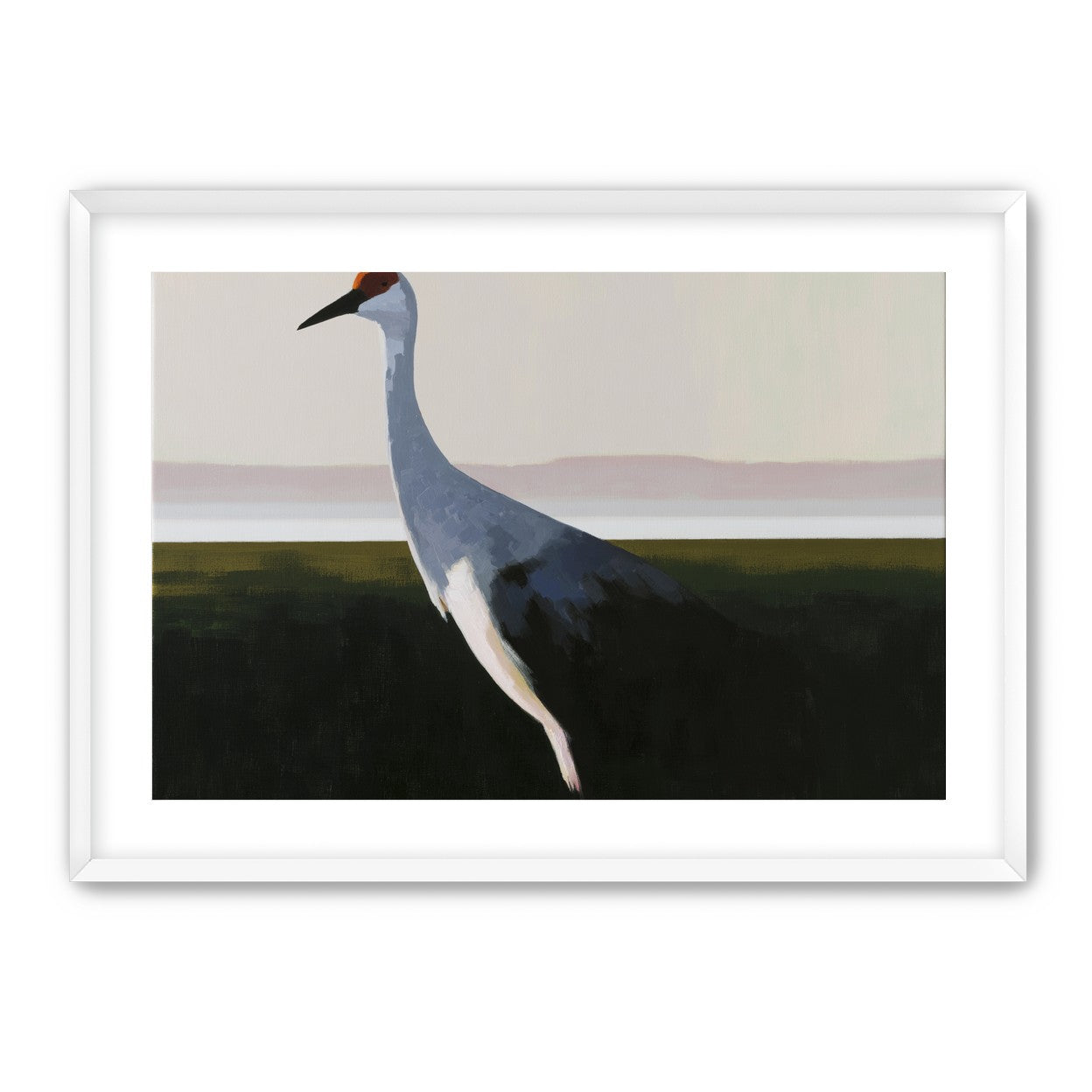 Crane with a red crown