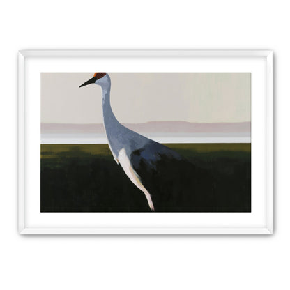 Crane with a red crown