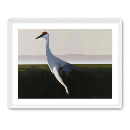 Crane with a red crown