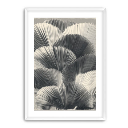 Ginkgo leaves in shadow