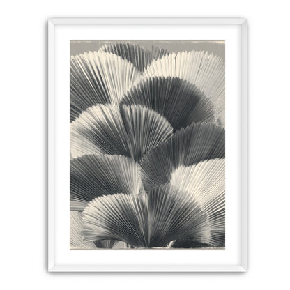 Ginkgo leaves in shadow