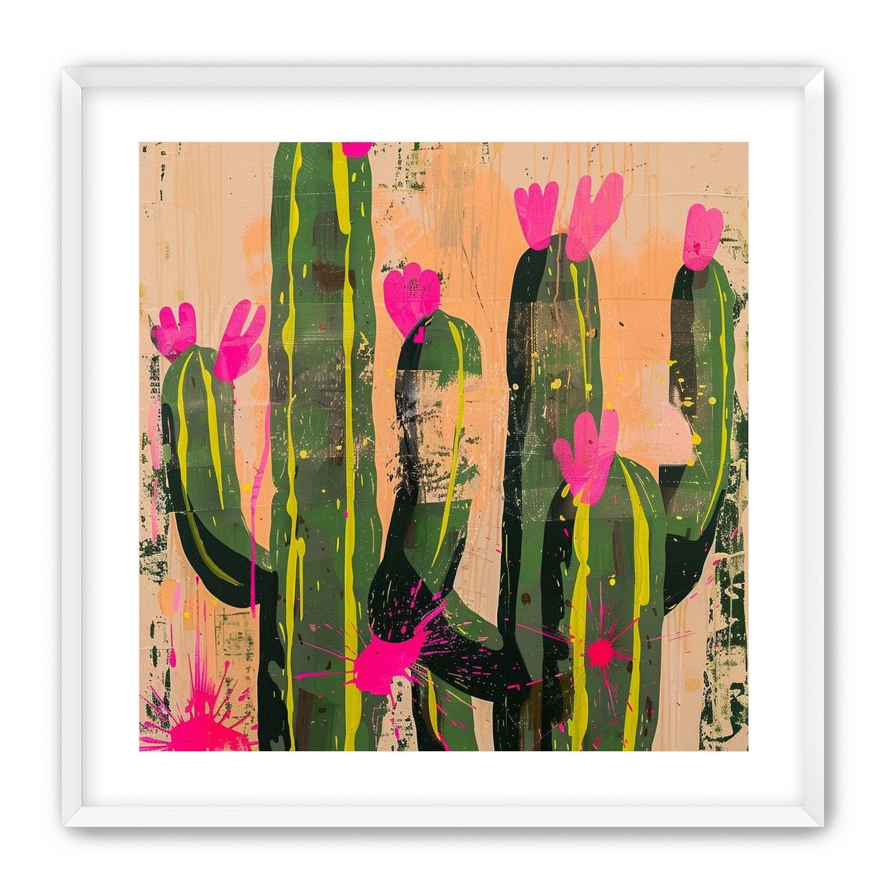 Pink blooms on cacti