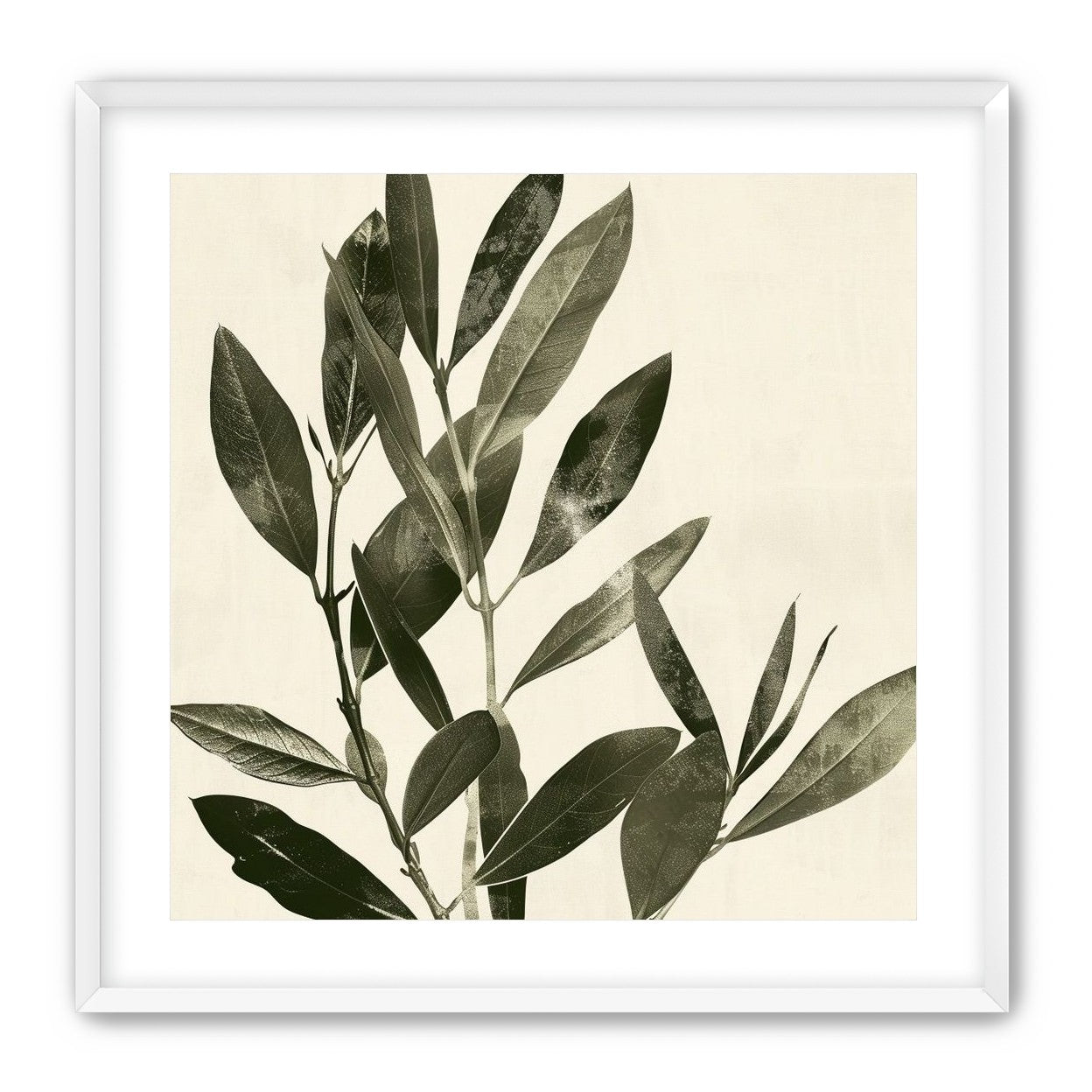 Dark leaves on pale field