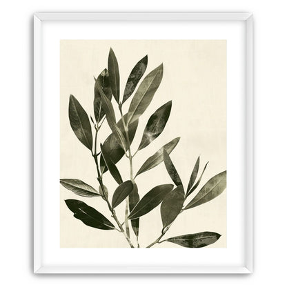 Dark leaves on pale field