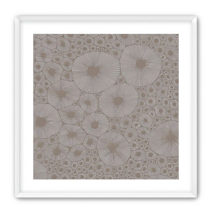Bold Coral