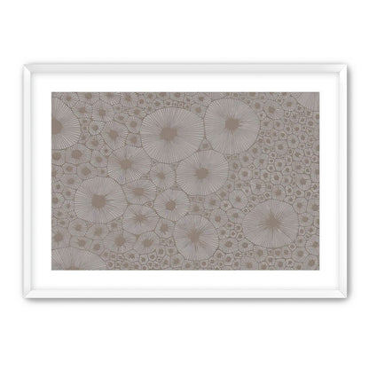 Bold Coral