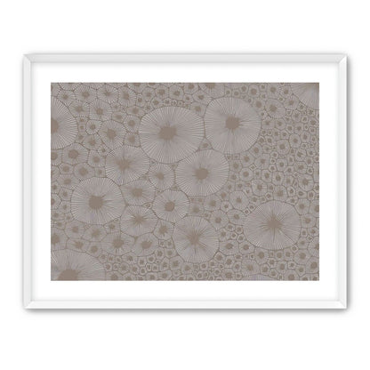Bold Coral
