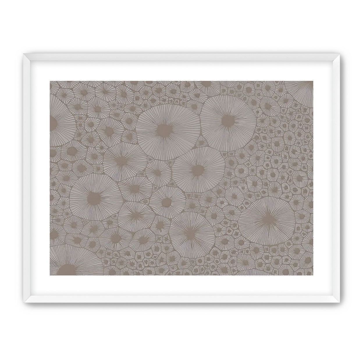 Bold Coral