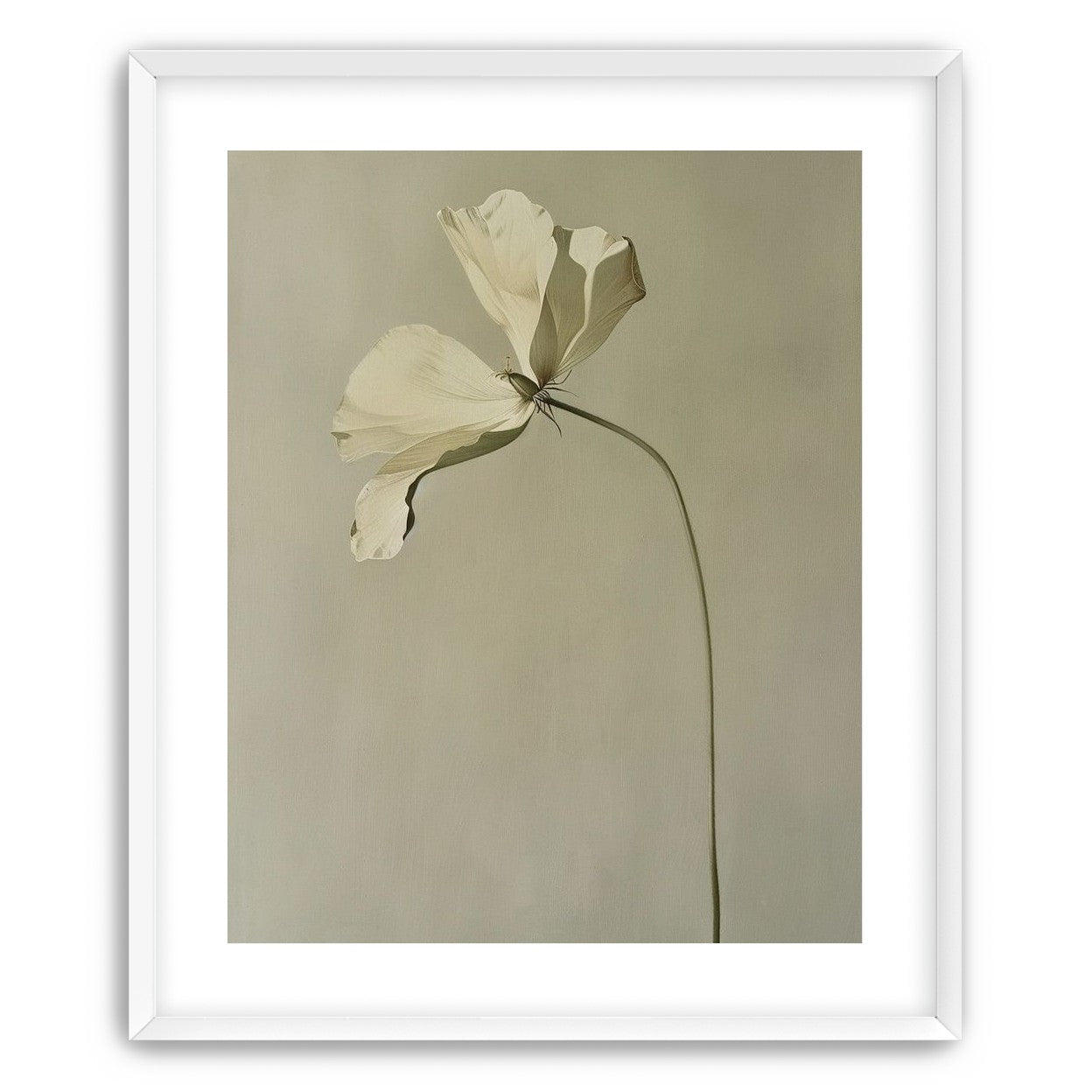 Cream petals in gray green air