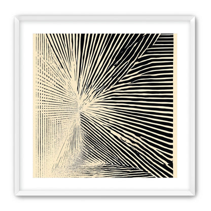 Convergence within black stripes