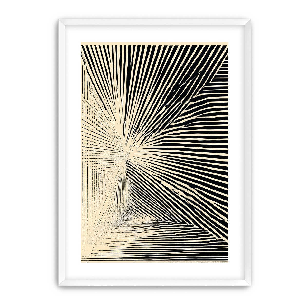 Convergence within black stripes