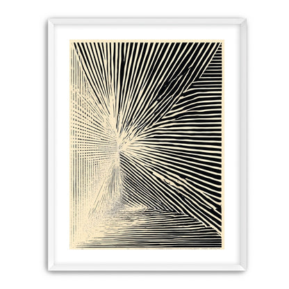 Convergence within black stripes