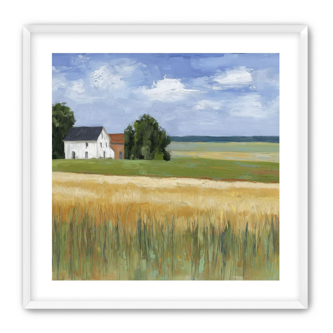 Grain Field Under Sun 