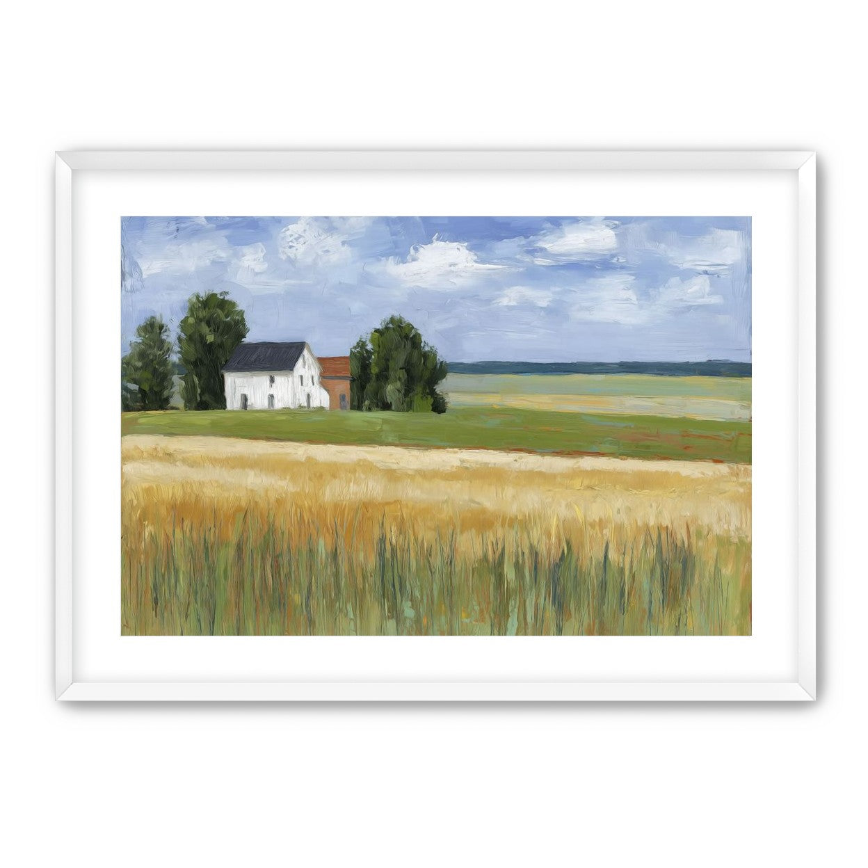 Grain Field Under Sun