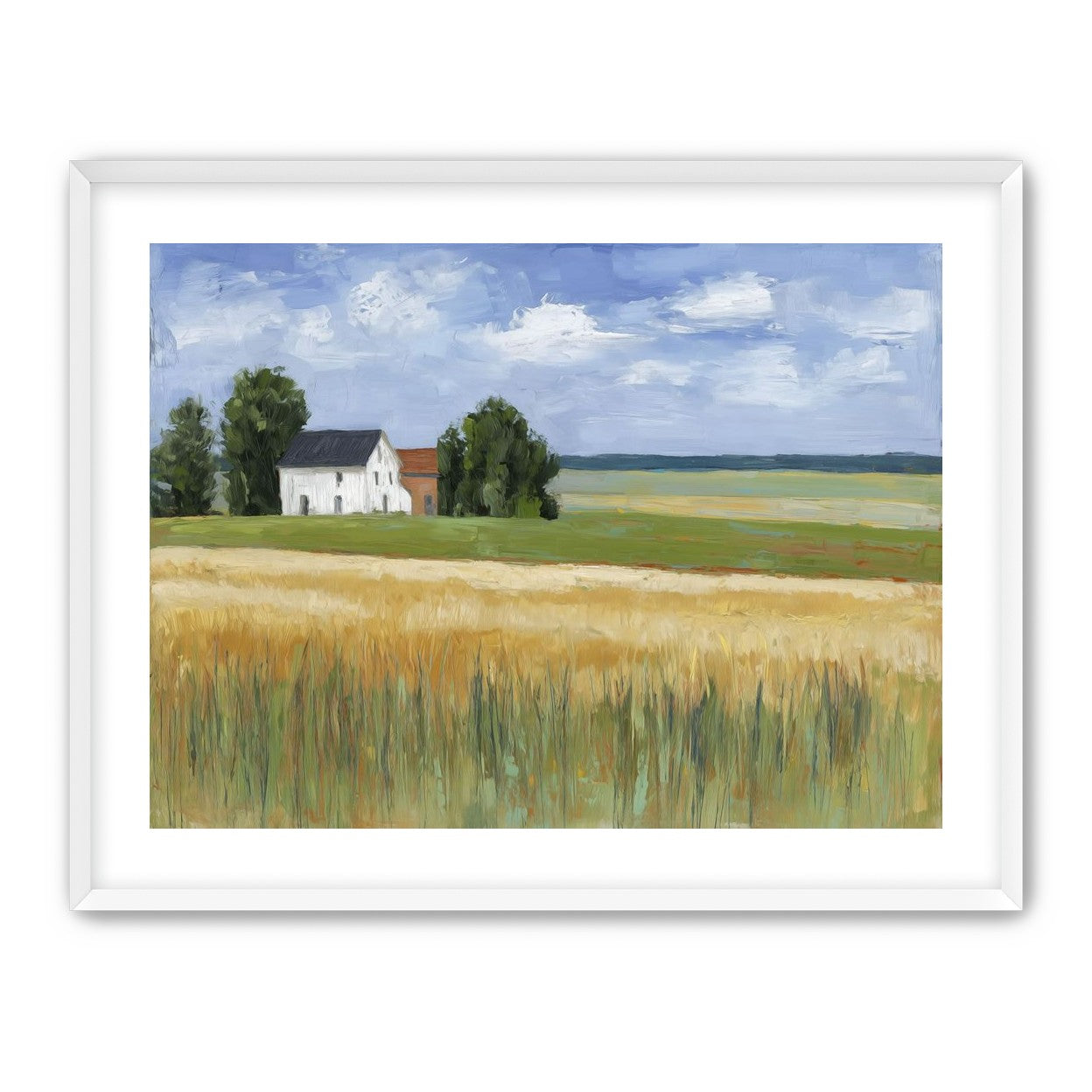 Grain Field Under Sun