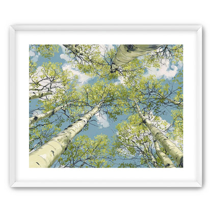 Aspen Canopy I
