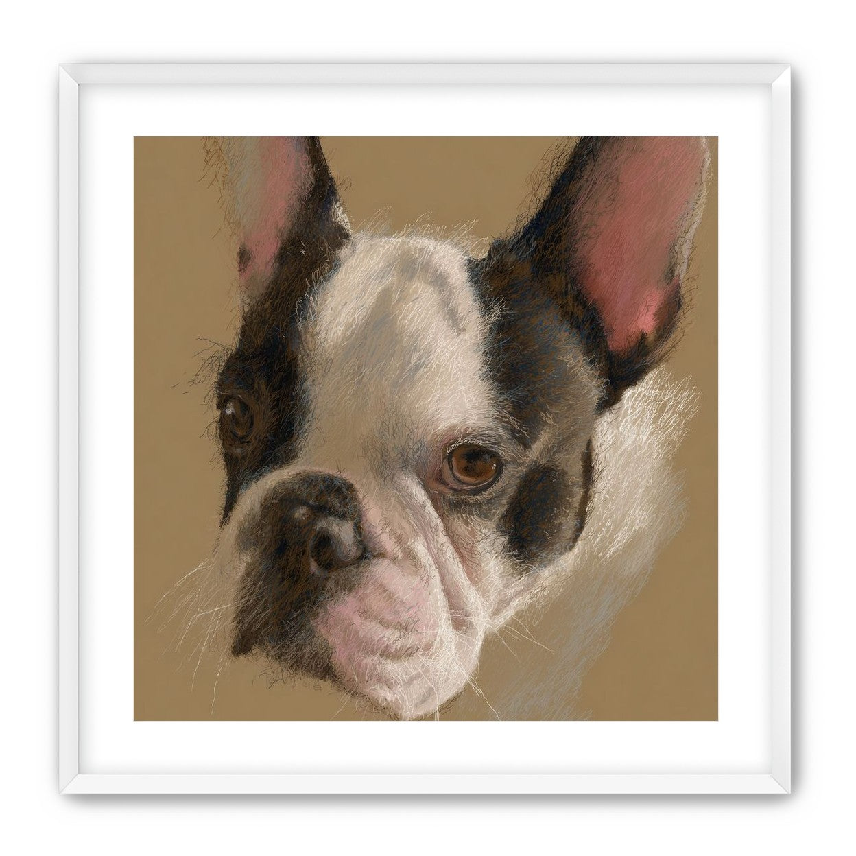 Close portrait with upright ears